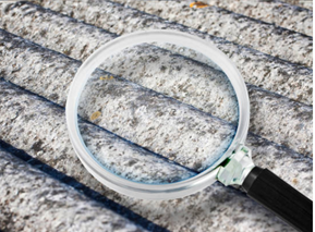 trusted asbestos inspection