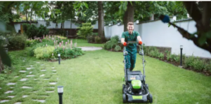 best gardening company
